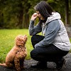 Aloha Woods Inc in Kailua-Kona, Hawaii County – Your Trusted Wood Supplier Timber and lumber distributors USA, Wholesale wood suppliers in USA Aloha Woods Inc