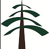 Wood Suppliers in Burlington Timber and lumber distributors USA, Wholesale wood suppliers in USA Business Cedar Country Lumber
