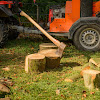 Wood Suppliers in Clovis Timber and lumber distributors USA, Wholesale wood suppliers in USA Business David's Firewood