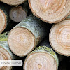 Wood Suppliers in Lapoint Timber and lumber distributors USA, Wholesale wood suppliers in USA Business Frontier Lumber, Inc.