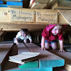 Wood Suppliers in Helena Timber and lumber distributors USA, Wholesale wood suppliers in USA Business Helena Hardwoods