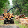 Wood Suppliers in Lapoint Timber and lumber distributors USA, Wholesale wood suppliers in USA Business Huberwoods