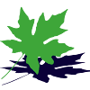 Wood Suppliers in Caledonia Timber and lumber distributors USA, Wholesale wood suppliers in USA Business Kamps Hardwoods Inc