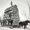 Wood Suppliers in Manhattan Timber and lumber distributors USA, Wholesale wood suppliers in USA Business S & D Firewood