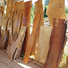 Business Sky Valley Timber Products