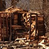 Southside Wood Co in Kansas City, Wyandotte County – Your Trusted Wood Supplier Timber and lumber distributors USA, Wholesale wood suppliers in USA Southside Wood Co