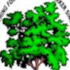 Wood Suppliers in Eolia Timber and lumber distributors USA, Wholesale wood suppliers in USA Business Wood & Shop Inc, The